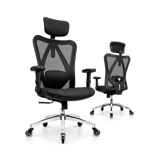 Duramont 4D Lumbar Ergonomic Chair