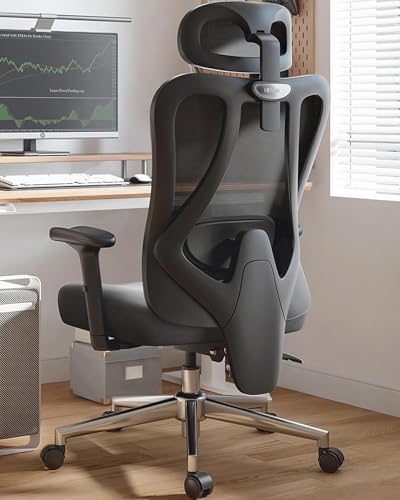 Hbada P3 Ergonomic Office Chair