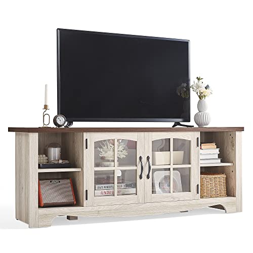 LINSY HOME Glass Door TV Stand