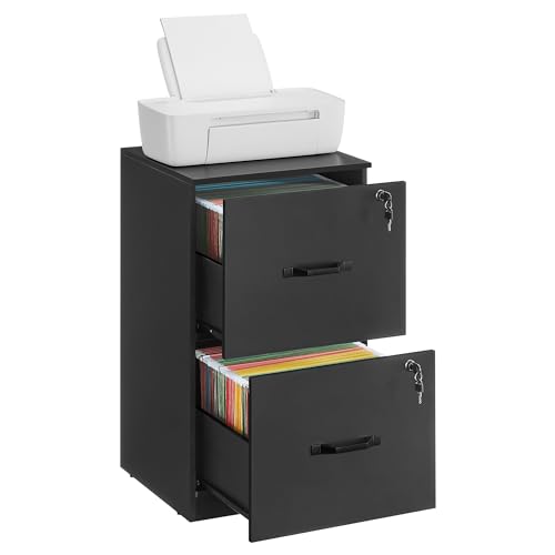 VASAGLE Locking Cabinet