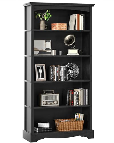 TVU Arched Bookshelf